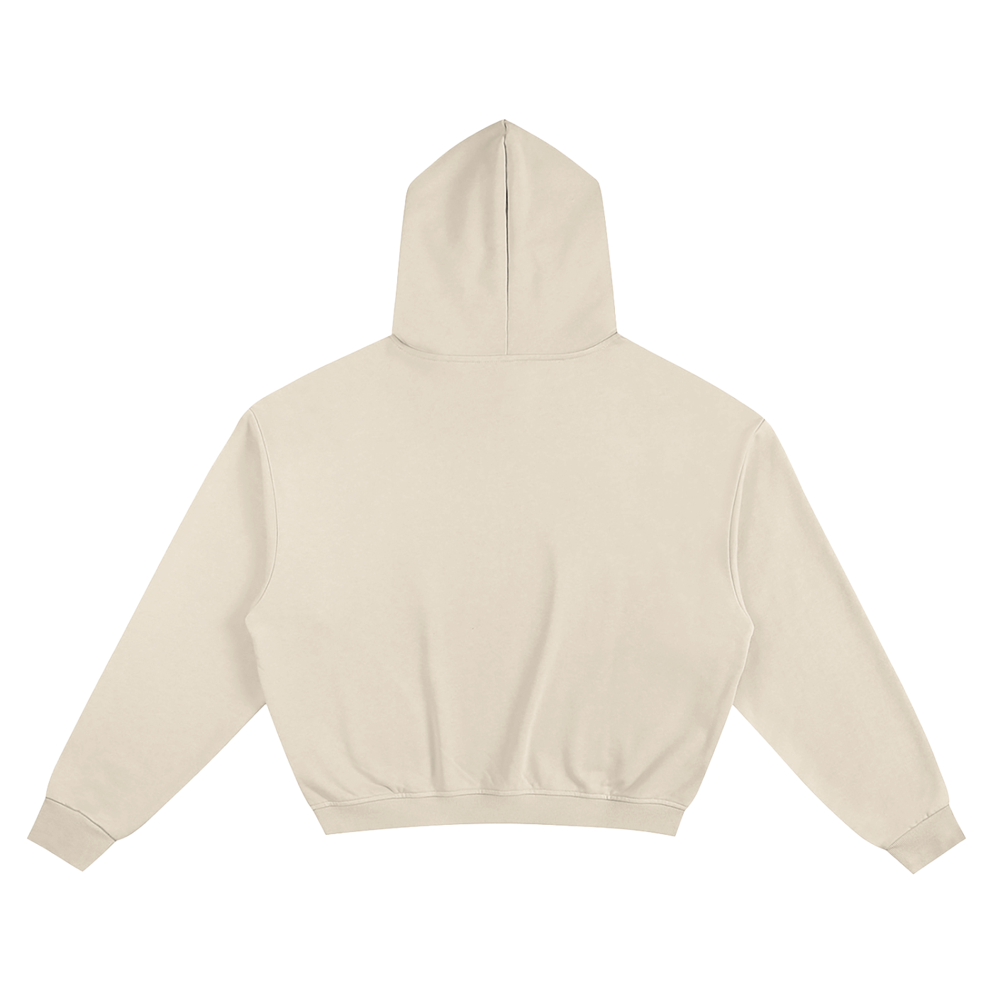 Snake Boxy Hoodie